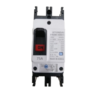 APTOMAT MCCB HYUNDAI 2P 75A 35kA ( HGM100E-F )