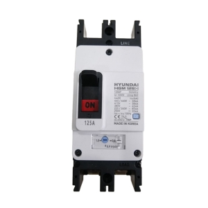 APTOMAT MCCB HYUNDAI 2P 125A 85kA ( HGM125H-F )