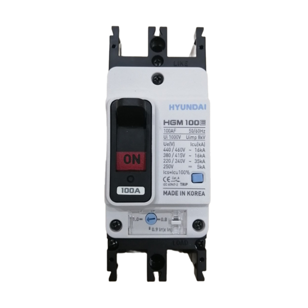 APTOMAT MCCB HYUNDAI 2P 100A 35kA ( HGM100E-F )