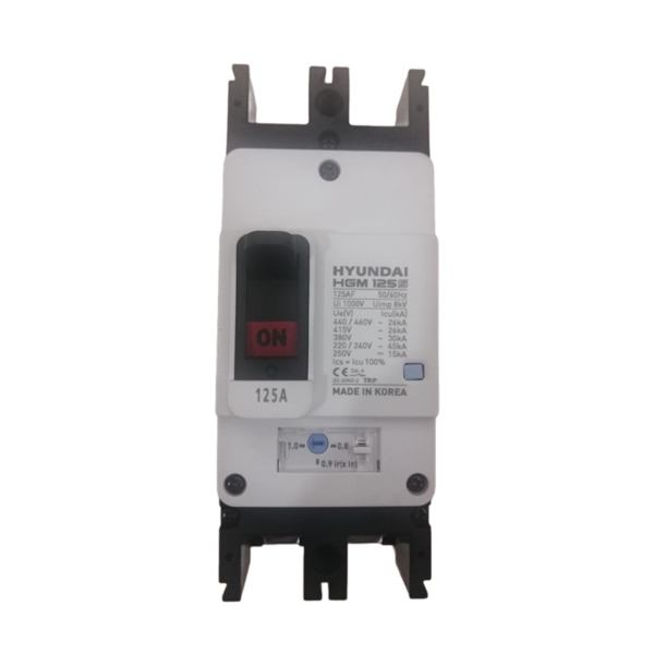 APTOMAT MCCB HYUNDAI 2P 125A 65kA ( HGM125S-F )